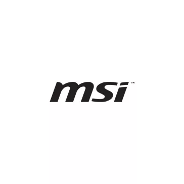 MSI