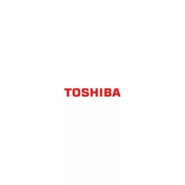 TOSHIBA